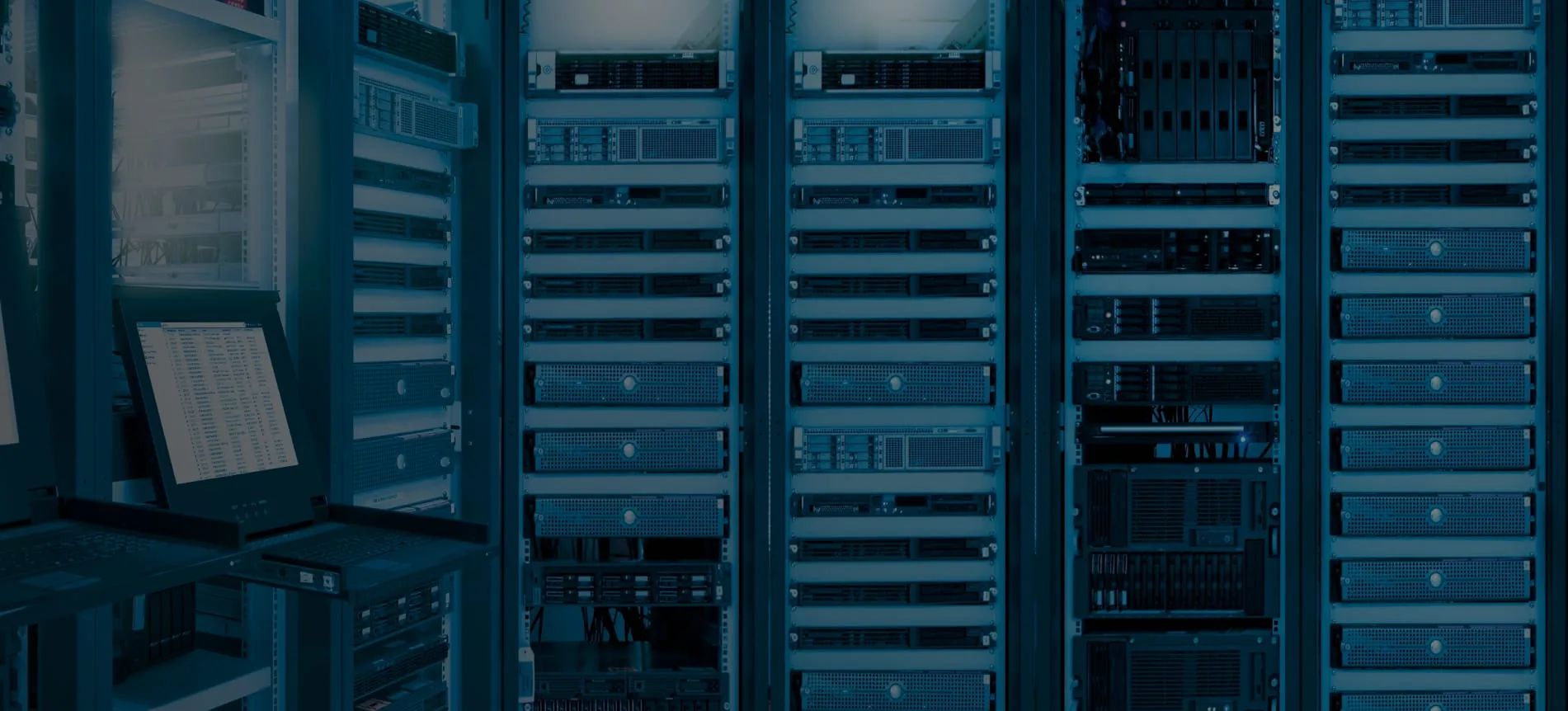 DLP system Anexet